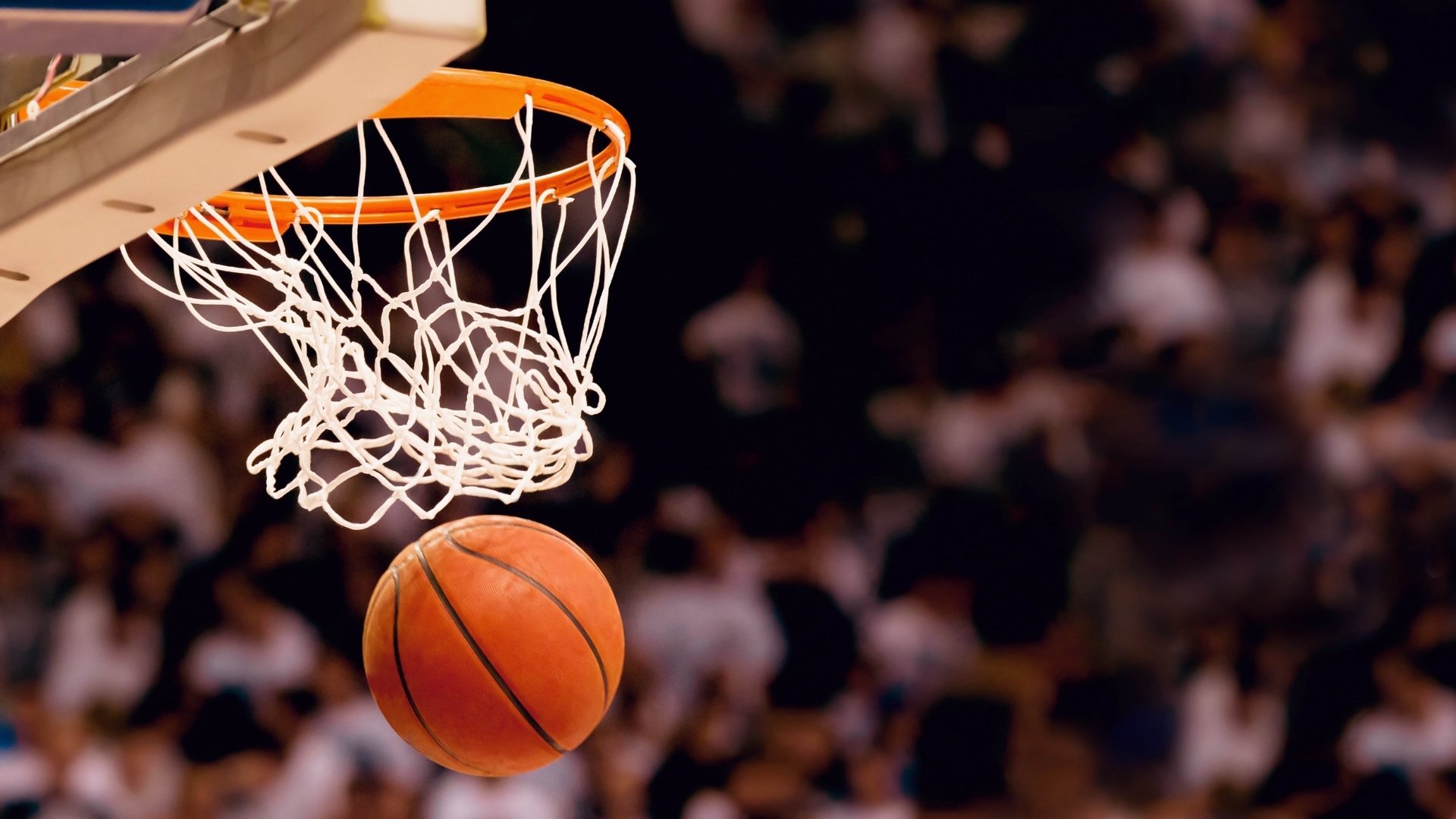 “趣味冷知识：你不知道的NBA隐藏故事”，nba的秘密