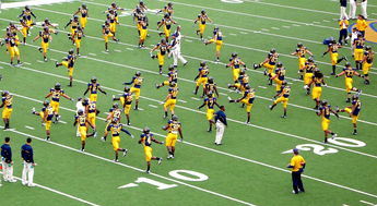 国家队教练团队协作存在的问题,教练员队伍建设