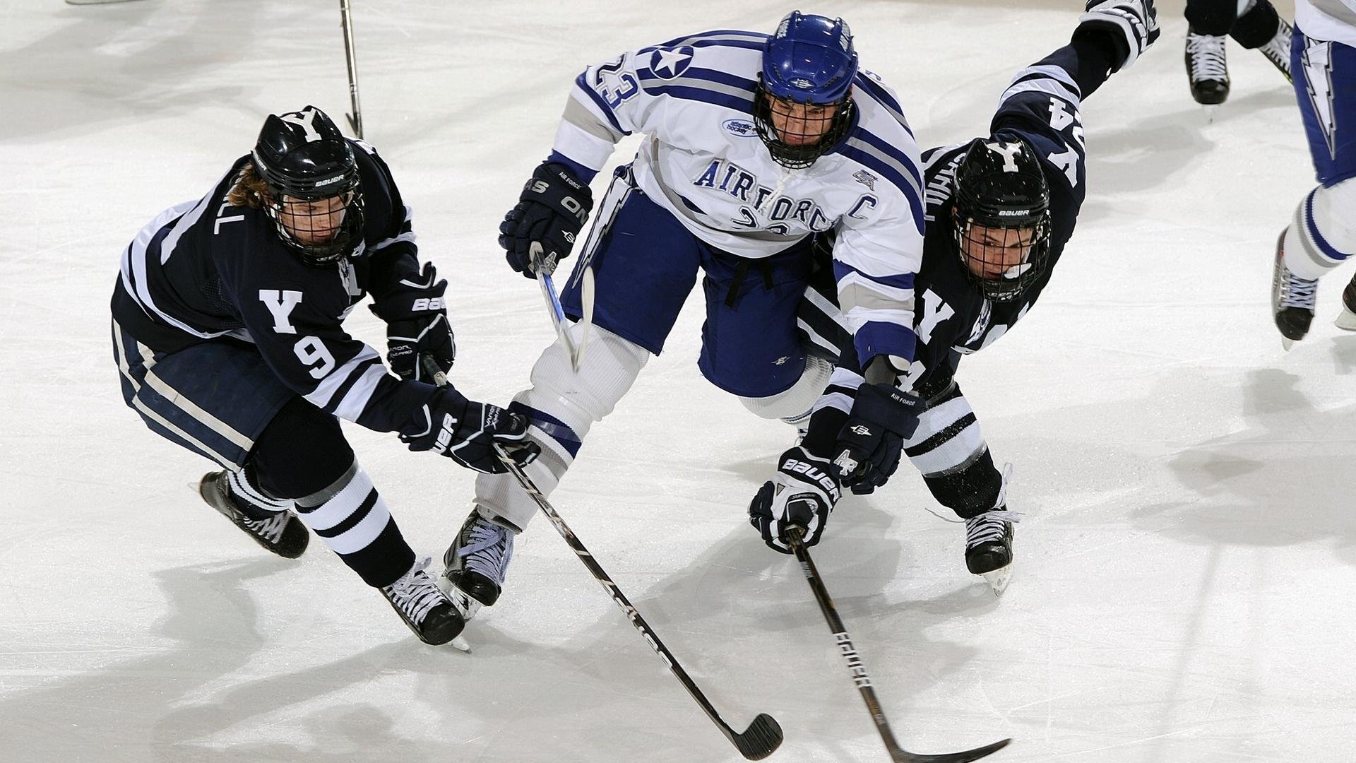 国家队教练团队协作存在的问题,教练员队伍建设